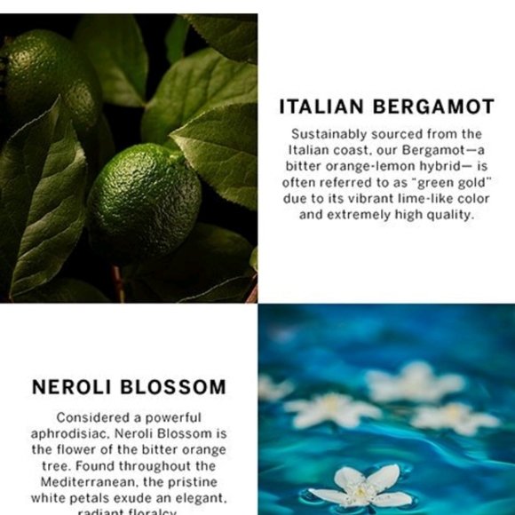 Very Sexy Sea Perfume - Picture 8 of 11